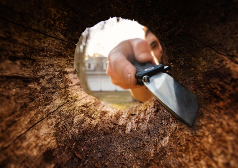 Why a Pocket Knife Is a Must for Camping