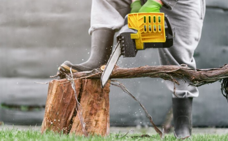 Ensuring Comfort and Safety: Key Services for Your Property