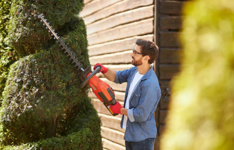 Maximizing Safety and Aesthetic Appeal: Essential Services for Your Property