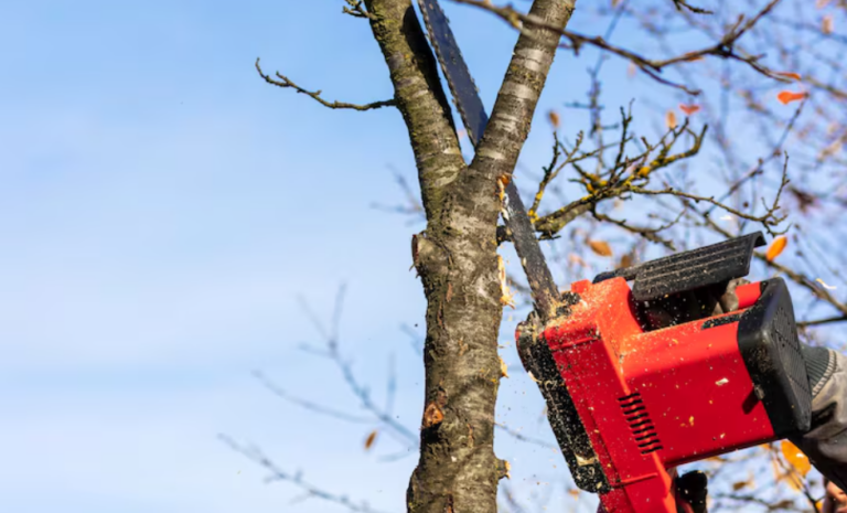 From Curb Appeal to Safety: Essential Services for Every Property Owner