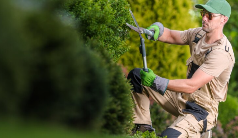 Top Essential Services to Enhance Your Property’s Safety and Appeal